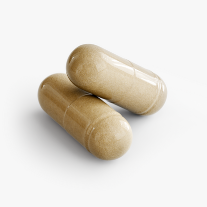 Moringa On The Go